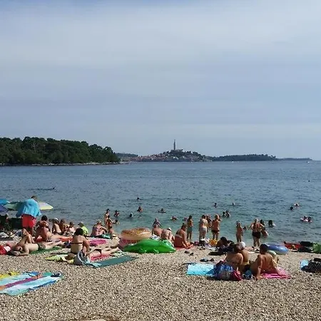 In With Terrace, Air Condition, Wifi, Washing Machine Apartmán Rovinj